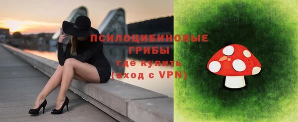стаф Новодвинск