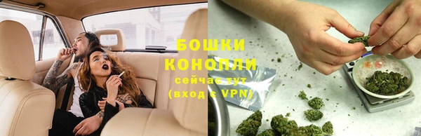 PSILOCYBIN Новокубанск