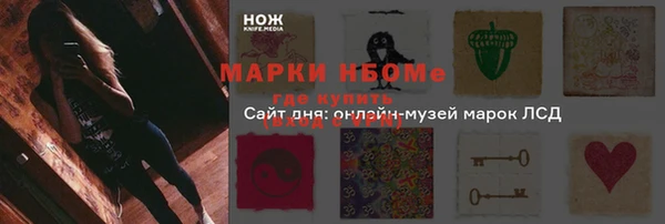 дмт Новозыбков