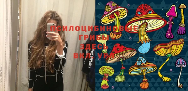 PSILOCYBIN Новокубанск