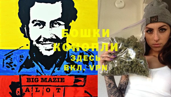 дмт Новозыбков