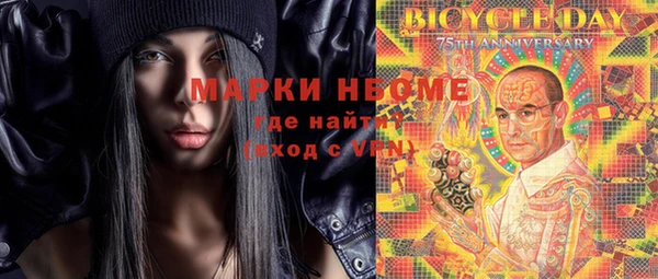 стаф Новодвинск