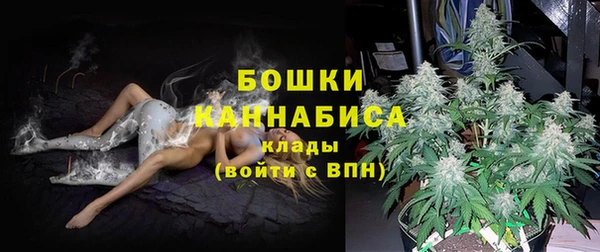 шишки Нефтекумск
