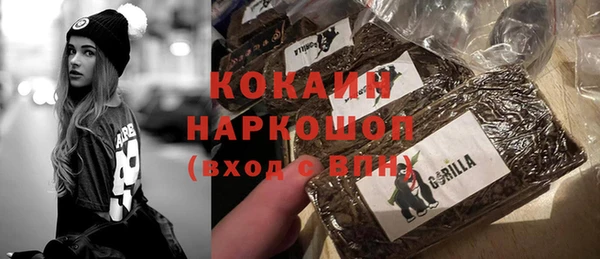 стаф Новодвинск