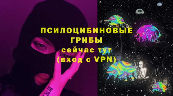 шишки Нефтекумск