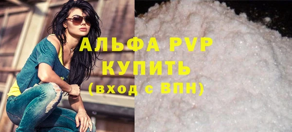 стаф Новодвинск