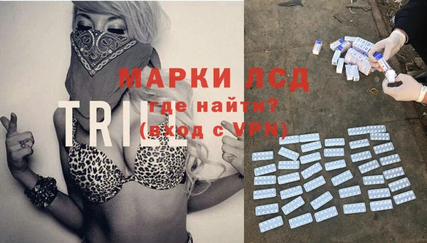 стаф Новодвинск