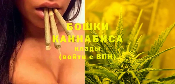 дмт Новозыбков