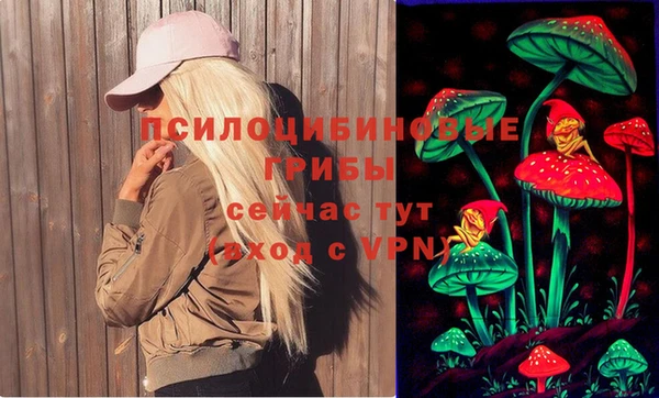 шишки Нефтекумск
