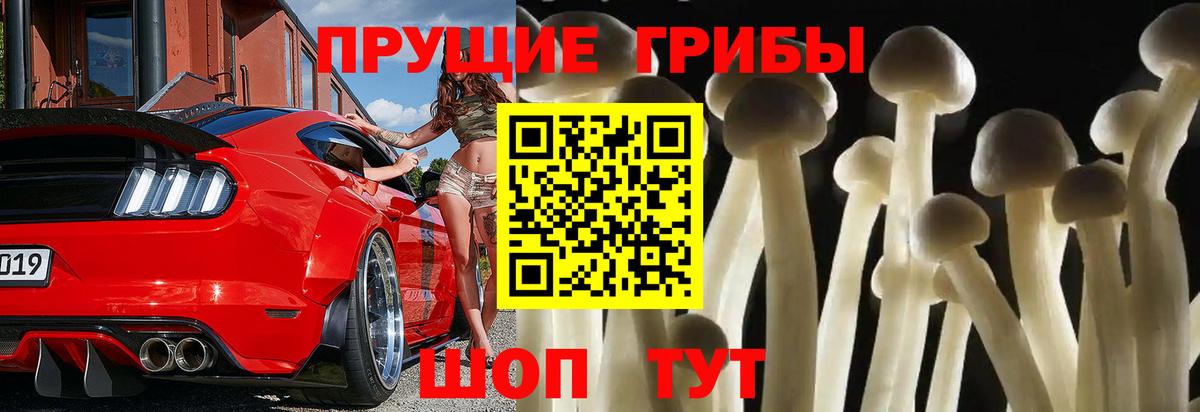 Галлюциногенные грибы Psilocybe  Вход с VPN  Ставрополь 
